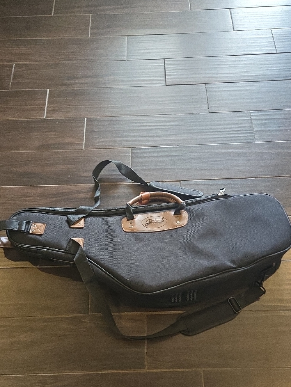 Jinchuan Alto Sax Gig Bag with Brown Accents NWOT